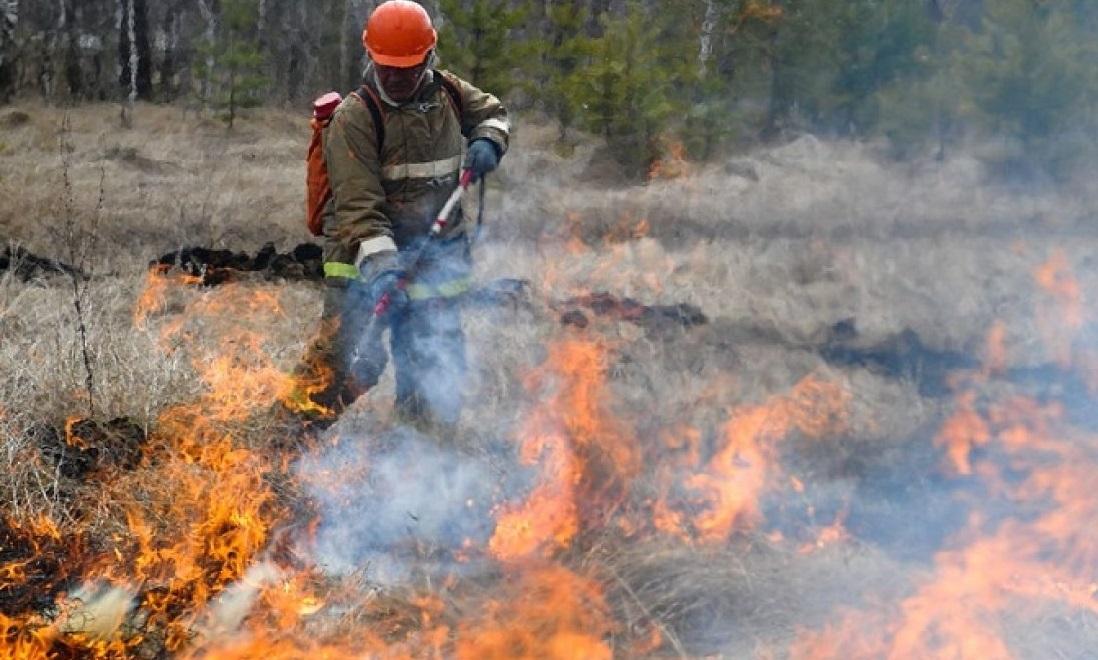Краевой Лесопожарный центр направил свыше 300 лесных пожарных на север региона