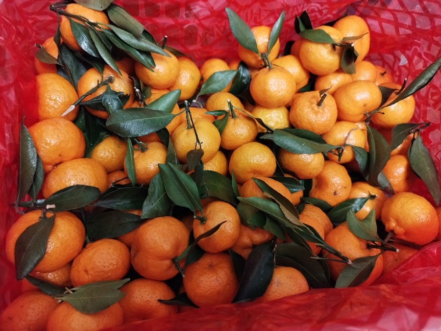 Mandariny nia