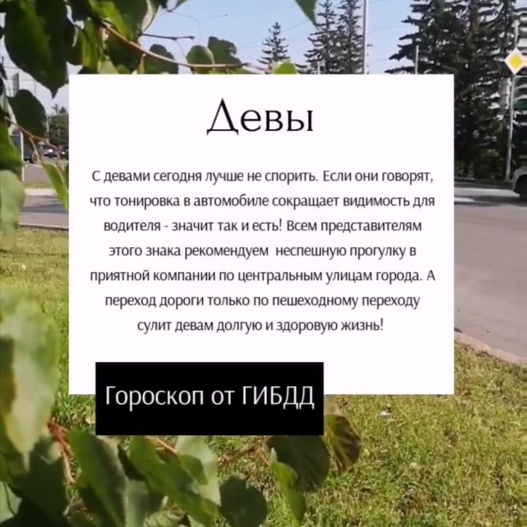 ГИБДД Красноярского края опубликовала гороскоп для участников дорожного движения