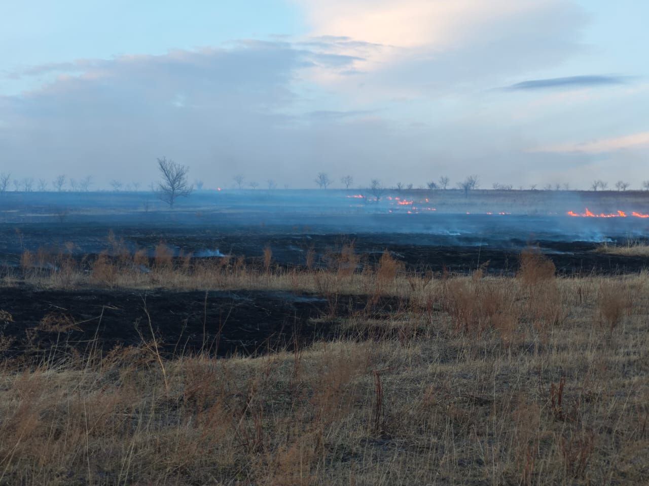 Два лесных пожара на площади 5,5 Га потушили за выходные в Красноярском крае