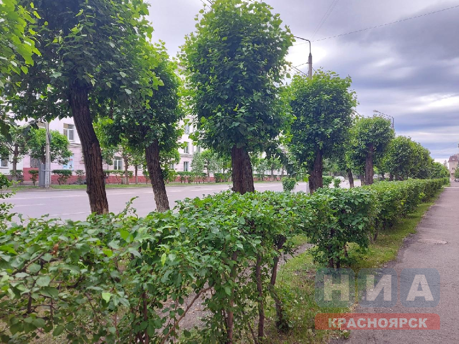 В Красноярском крае благоустроят 51 общественное пространство и 196 дворовых территорий