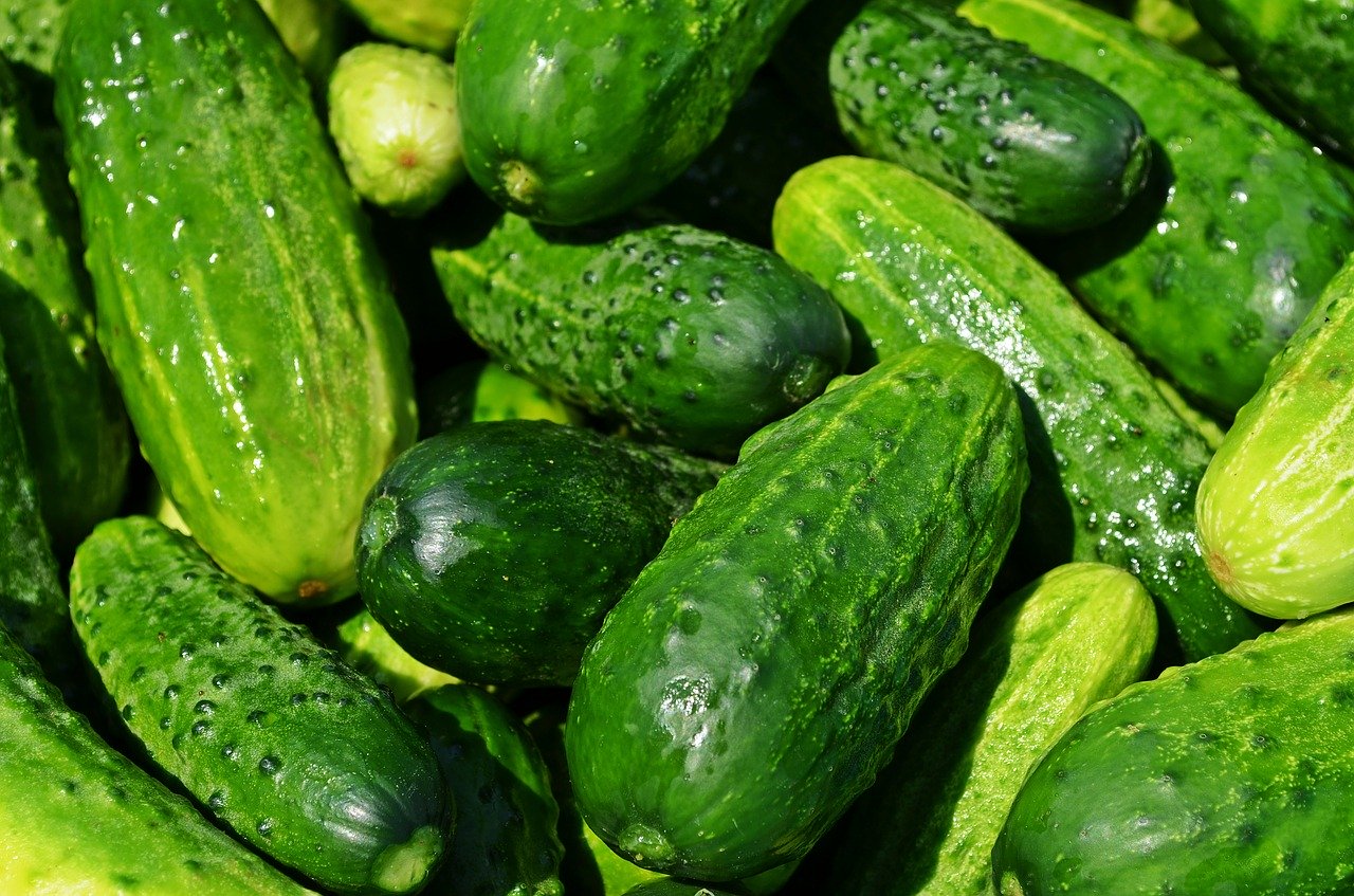 cucumbers 849269 1280