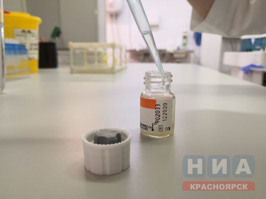 В Красноярском крае прогнозируется скачок заболеваемости COVID-19 через 2 недели