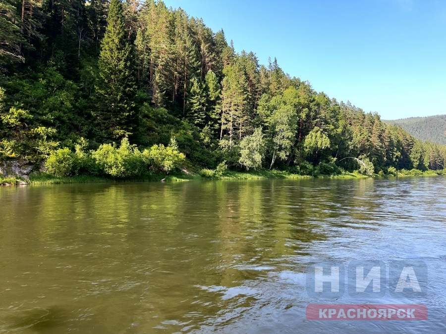 В  Красноярском крае стартовала  масштабная экологическая акция «Сохраним лес»