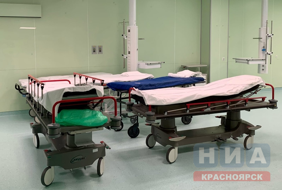 Показатель общей смертности населения России за 2023 год снизился на 7%
