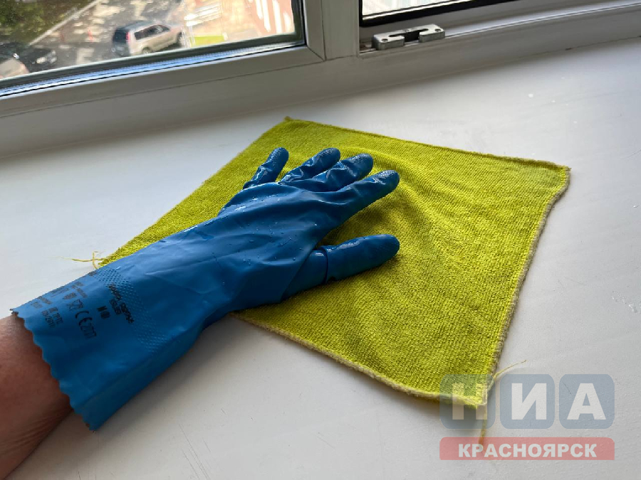 yborka tryapka nia2023