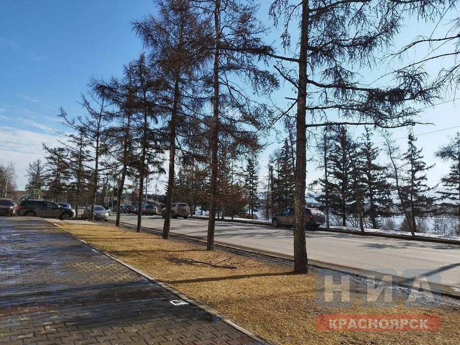 На выходных в Красноярске будет тепло, но пасмурно