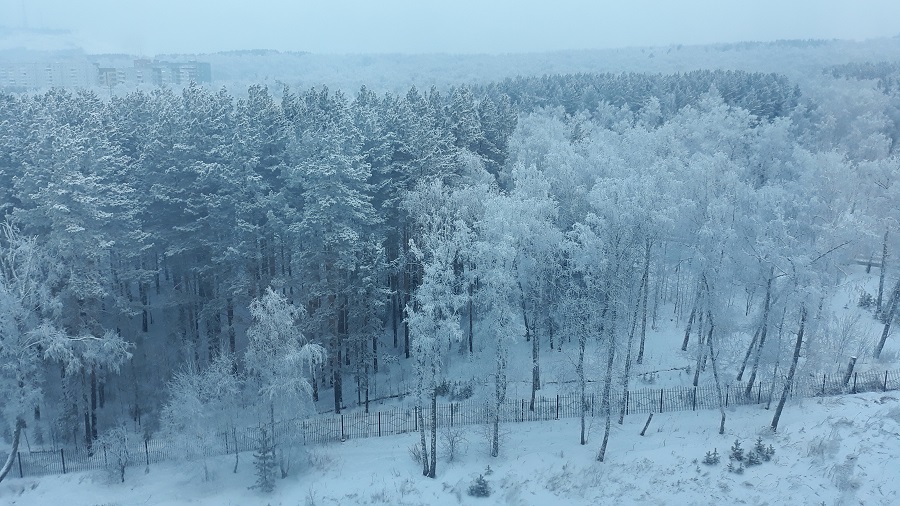 МЧС Красноярского края предупреждает о морозной погоде