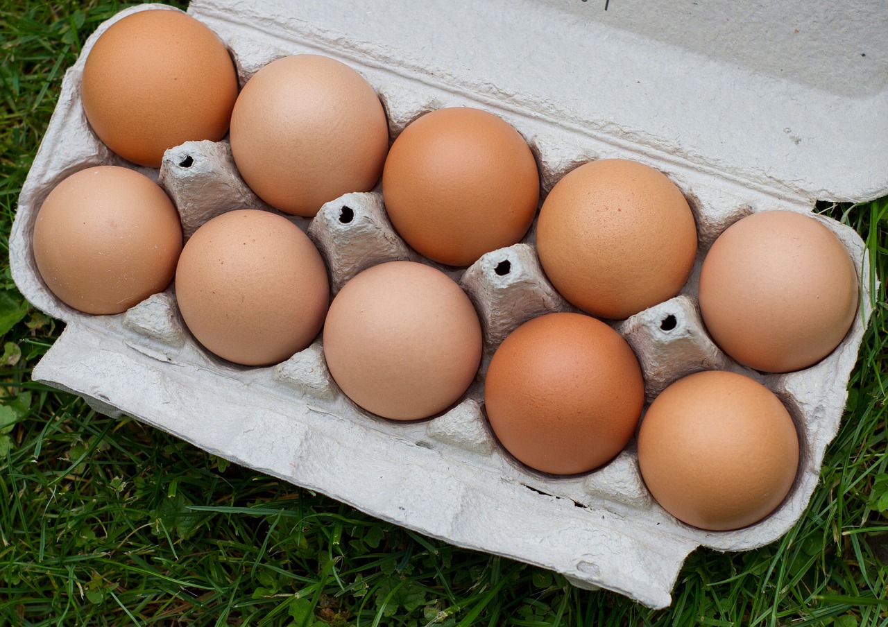Подорожали яйца, подешевело пшено: Красноярскстат рассказал об изменении цен на продукты