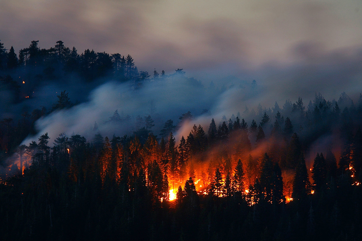 forest fire california