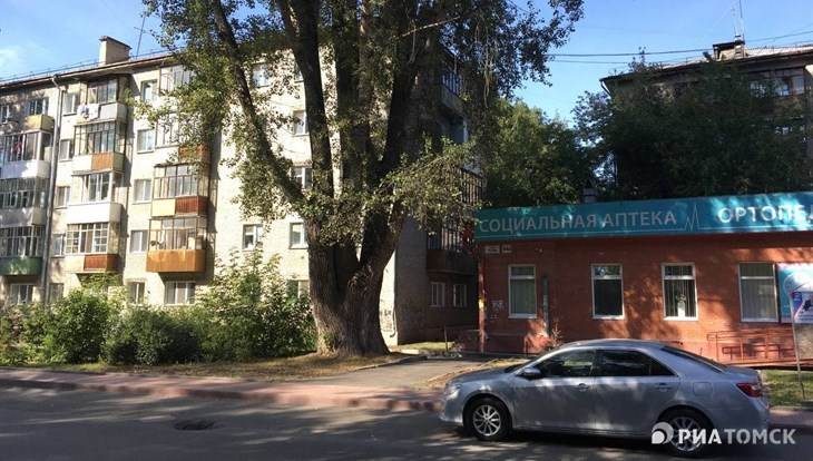 Новой достопримечательностью Томска собираются сделать старый огромный тополь