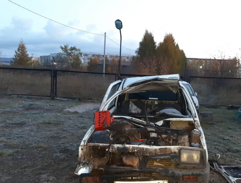 В Шарыпово лошадь спровоцировала ДТП и скрылась с места аварии