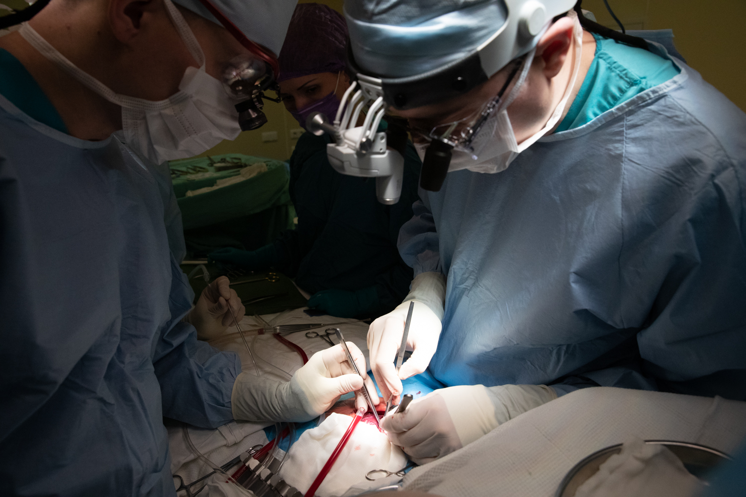 Красноярские кардиохирурги спасли новорожденную девочку с комплексом пороков сердца
