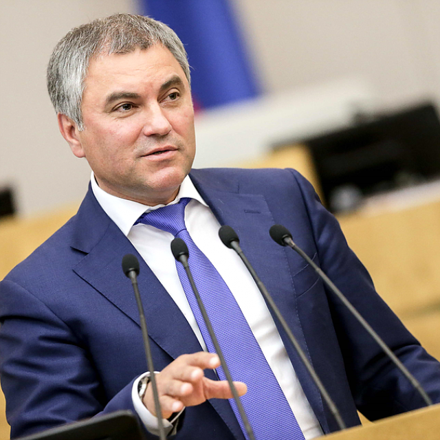 Volodin v Dume