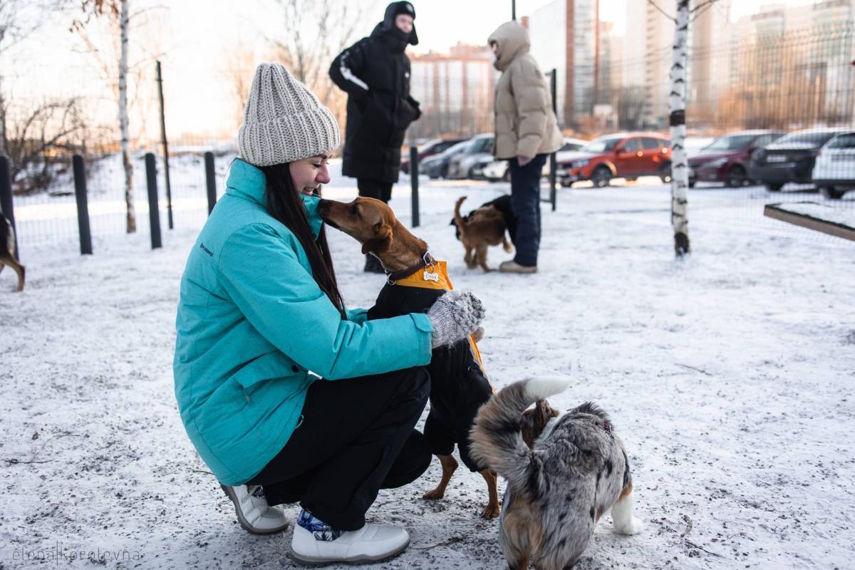 Региональный координатор партпроекта «Защита животного мира» организовала День домашних животных в Красноярске