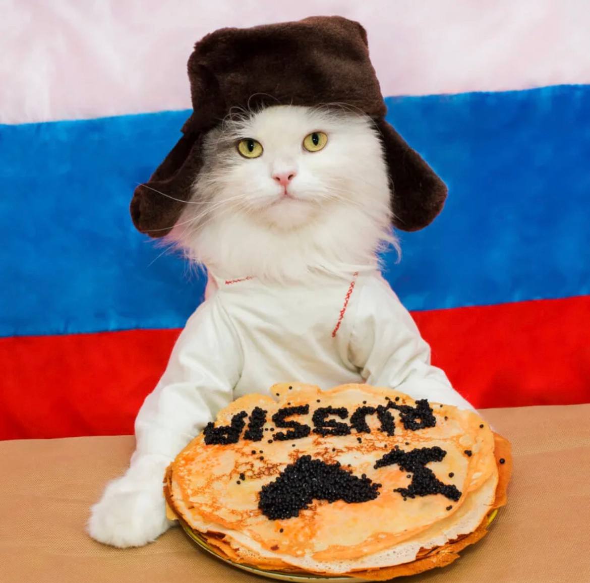 Russian cats