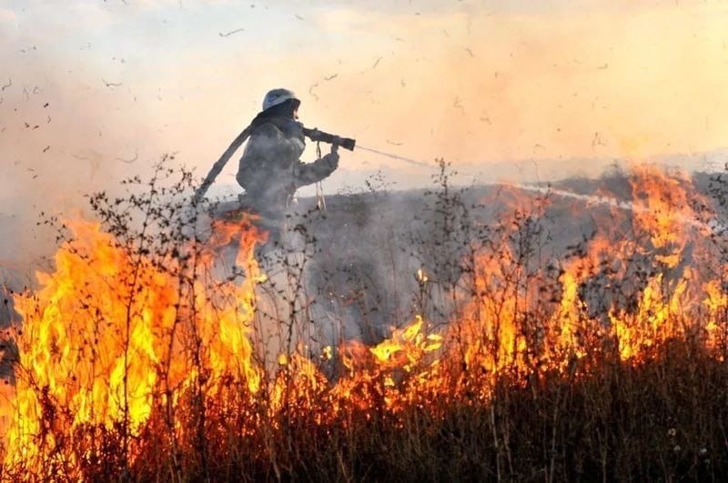 Для снижения рисков катастрофических пожаров в Красноярском крае предлагается построить новые пожарные части