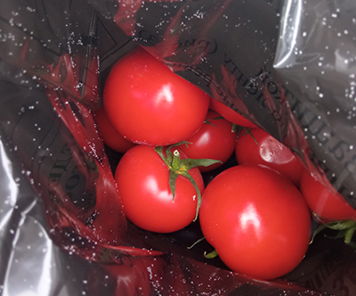 В Красноярске уничтожили 15 тонн зараженных молью томатов