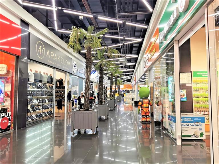 Красноярские пальмы переселили в торговые центры