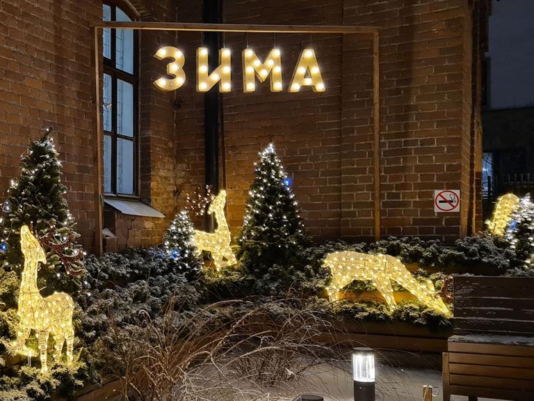 zima