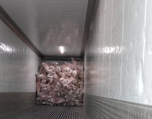  300x234