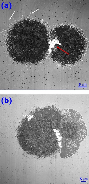 Красноярские ученые доказали возможность применения магнитных наночастиц в терапии рака