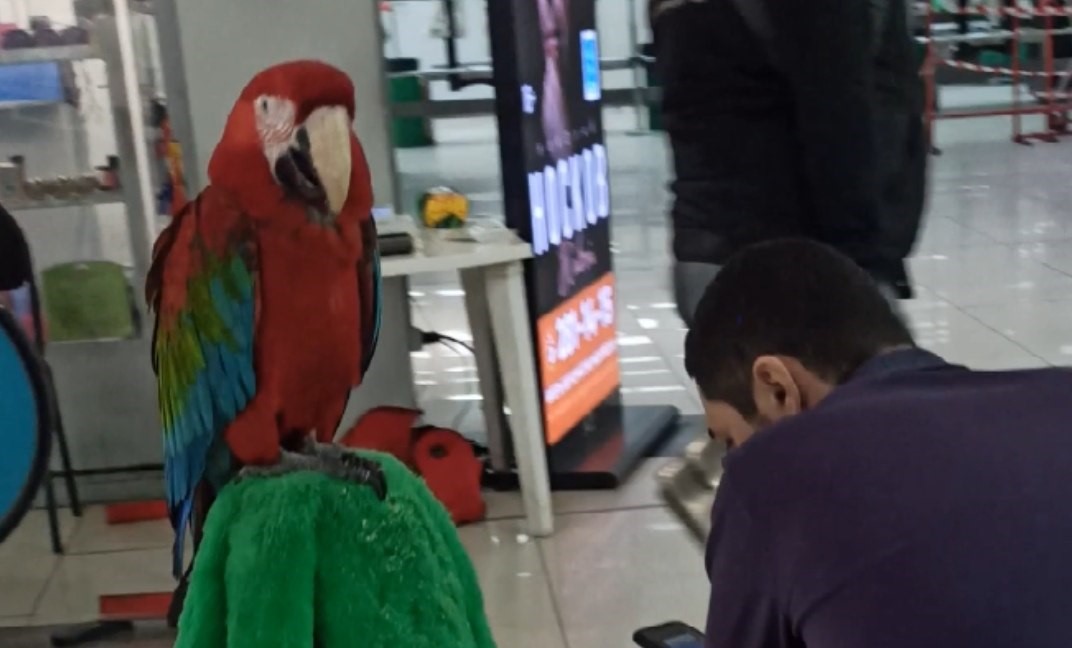 photo 2023 04 03 16 23 18