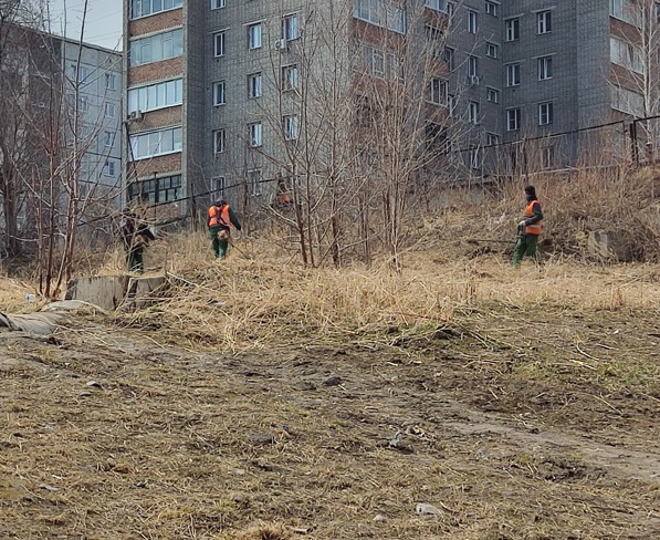 С 5 мая в Красноярске начнет действовать особый противопожарный режим – нарушителей ждут штрафы