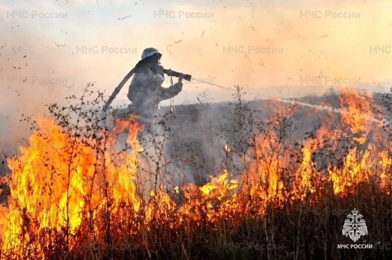 В Эвенкии ввели режим ЧС из-за риска лесных пожаров