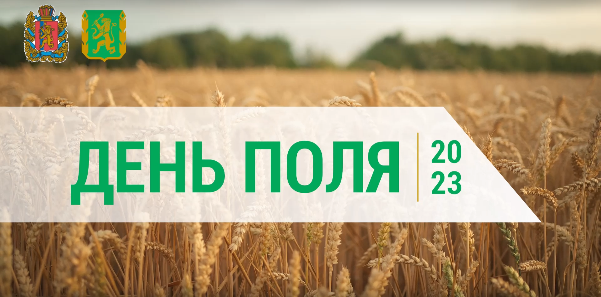 Емельяновском районе состоится краевая сельскохозяйственная выставка «День поля»