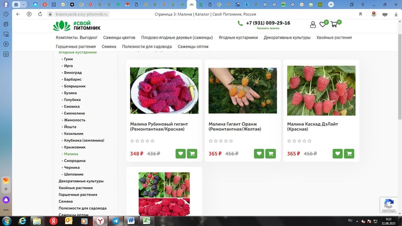 internet magazin prodaval ne to