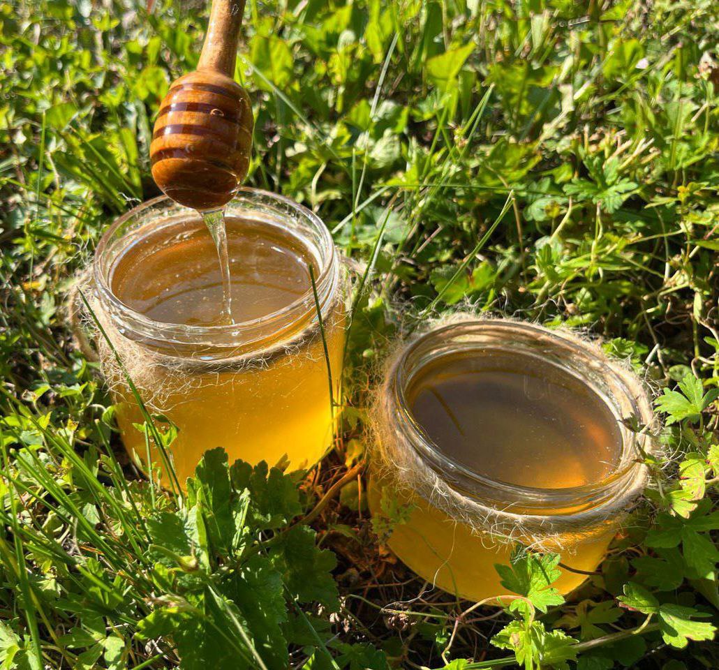 Сибирский мёд: экспортный рост и популярность на международном рынке
