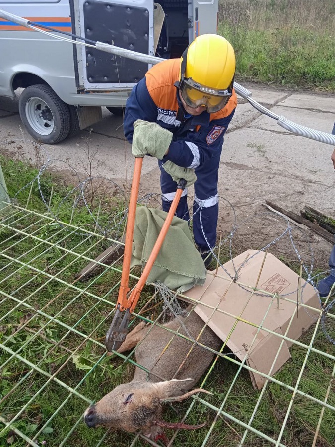 photo 2023 09 11 10 33 40