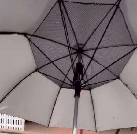 Охлаждающий зонтик придумали в ОАЭ