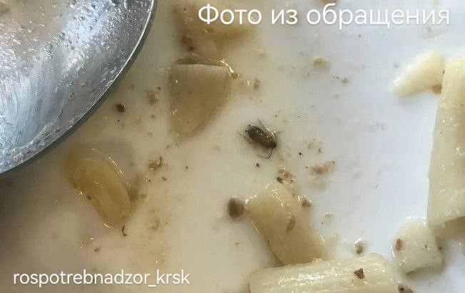 В красноярской школе учеников кормят едой с тараканами