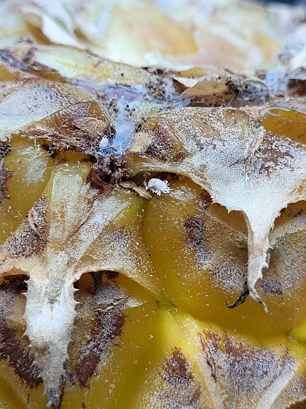 photo 2024 01 26 09 42 21