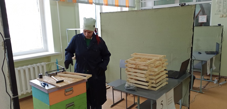 В Красноярском аграрном техникуме лучшие студенты-пчеловоды продемонстрировали свои навыки на региональном чемпионате «Профессионалы»