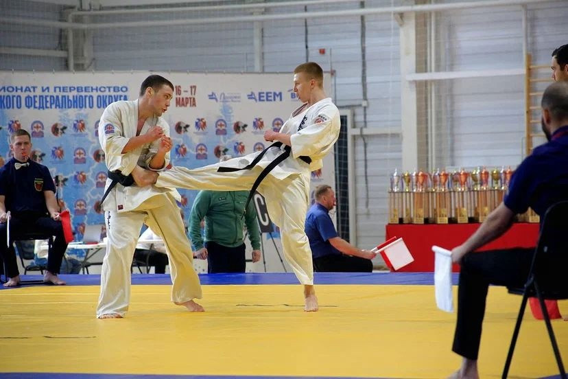 Красноярские каратисты завоевали 33 медали чемпионата и первенства СФО