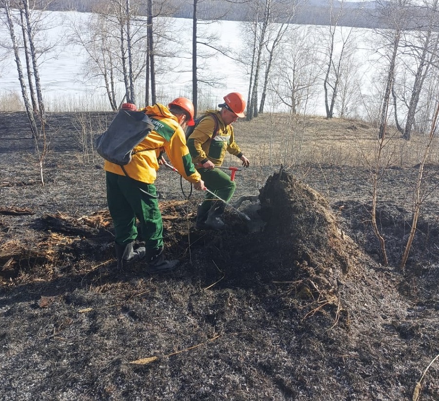 В Красноярском крае ликвидирован первый с начала года лесной пожар