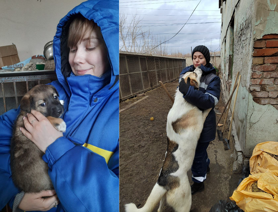 Краскомовцы навели чистоту в красноярском приюте для собак «Друг»