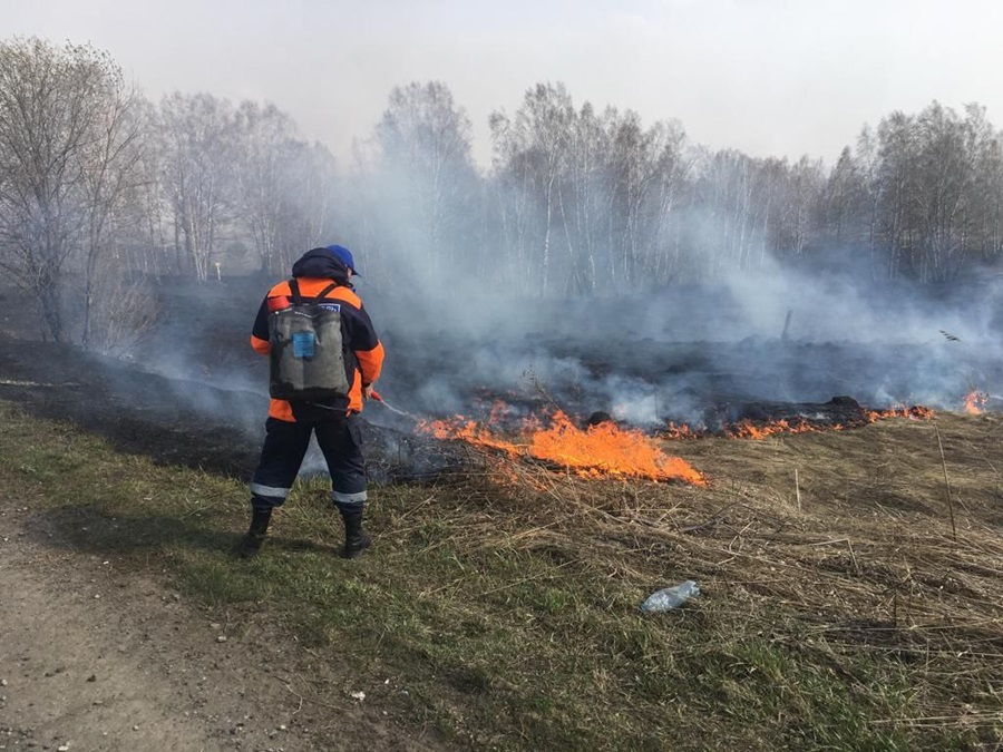 За сутки в Красноярском крае случилось 10 пожаров сухой растительности