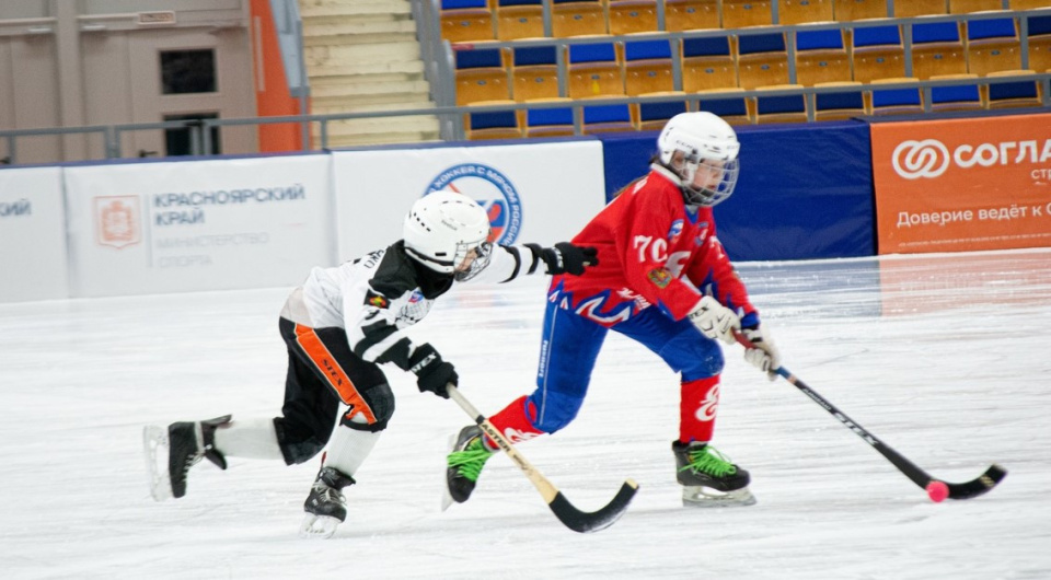 В Красноярске стартует VIII детский турнир по мини-хоккею с мячом «Ледовая дружина»