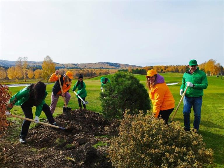 Состояние свыше 50 тысяч высаженных в 2023 году деревьев проверяют после зимы в Красноярске