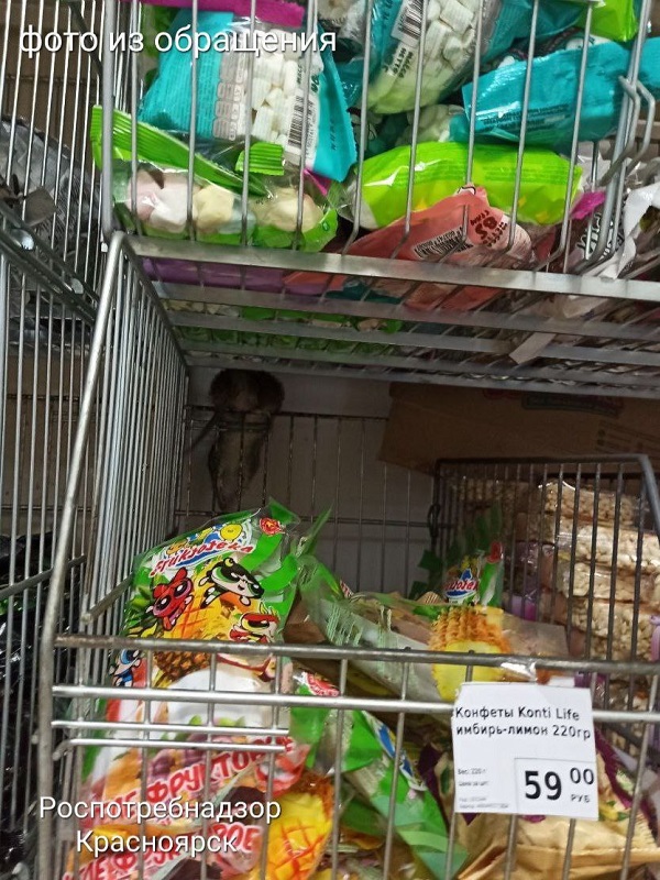 Один из магазинов «Fix Price» на правобережье закрыт из-за крыс