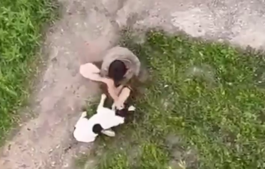 В Шарыпове мужчина избил свою собаку