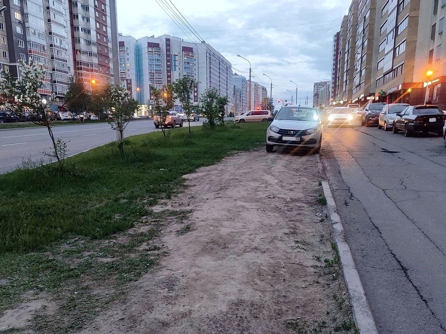 Красноярцев оштрафовали более 500 раз за парковку на газонах в Центральном районе