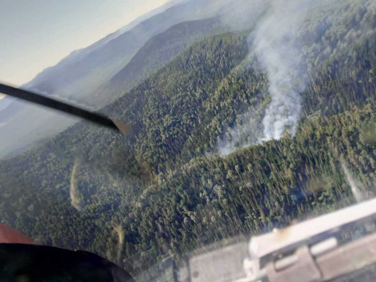 Более половины пожаров в краевых лесах обнаружили с воздуха