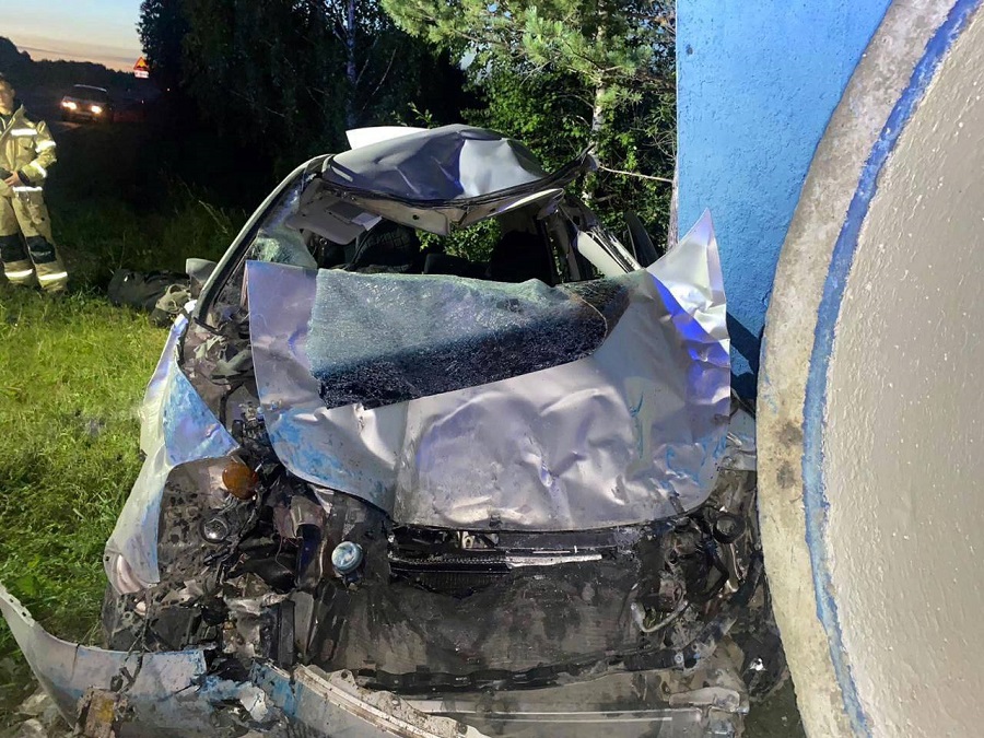 В Красноярском крае в аварии с лошадью погиб водитель