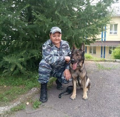 Собака по кличке Венза раскрыла кражу по горячим следам в Красноярске