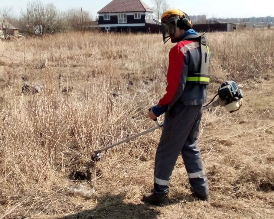 В Красноярске определили подрядчика для выкашивания сухой травы